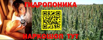 скорость Будённовск