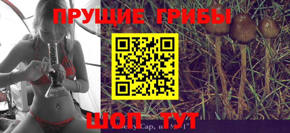 Псилоцибиновые грибы Psilocybine cubensis  Псилоцибиновые грибы Magic Shrooms  Полевской  Вход с VPN 