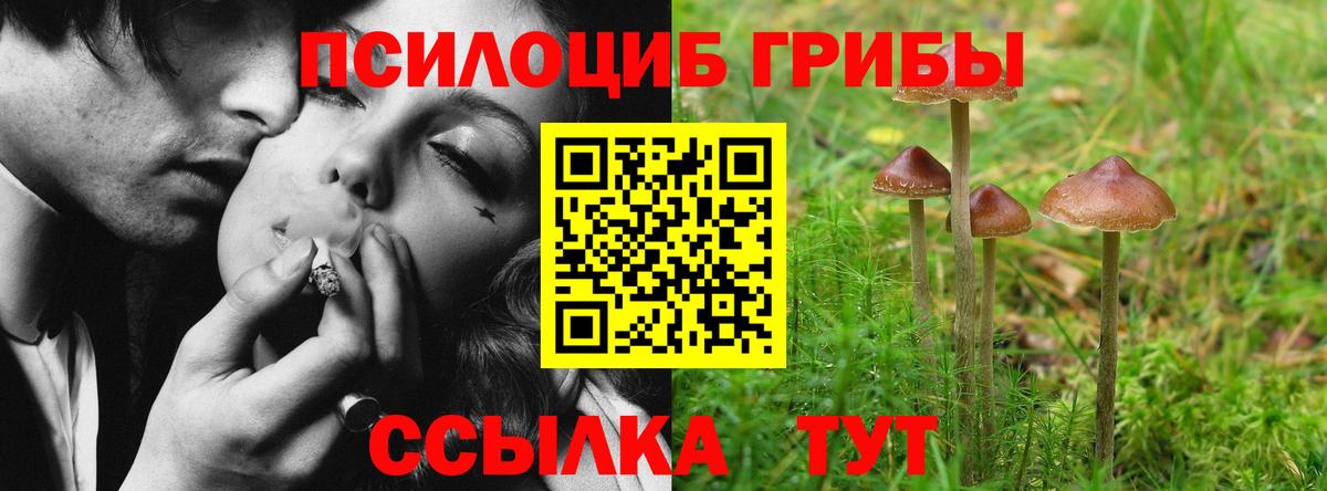 Псилоцибиновые грибы MAGIC MUSHROOMS Полевской